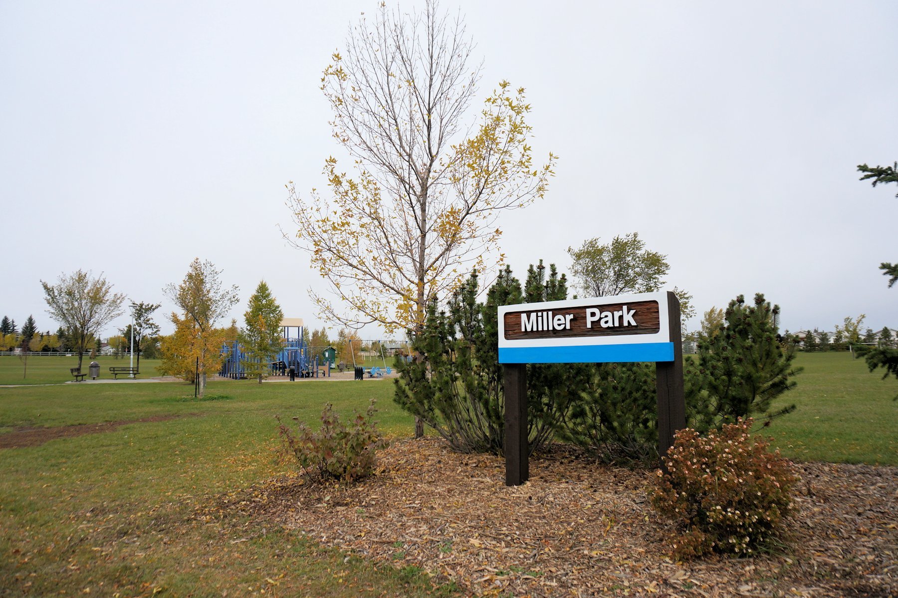 Miller Edmonton Homes For Sale, Miller Real Estate